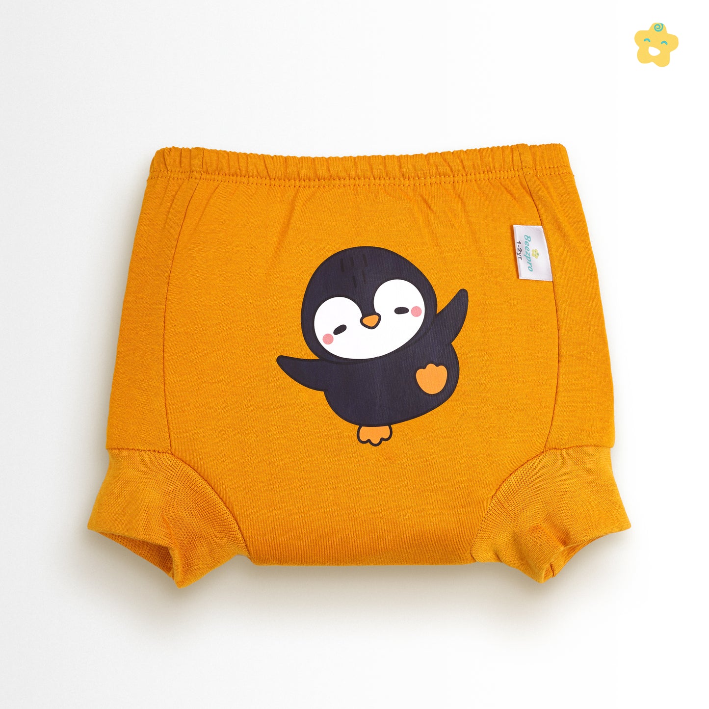 Beezpro Snug Fit Padded Underwear (Mixed Colors Only)